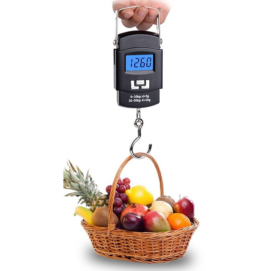 Portable LCD Digital Electronic Fishing Travel Luggage Hanging Weighing Scale