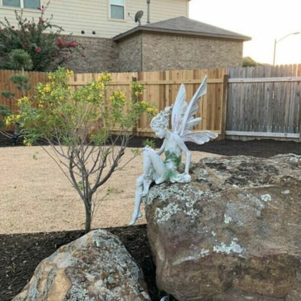 Image 11