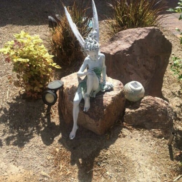 Image 13
