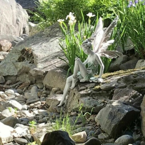 Image 14