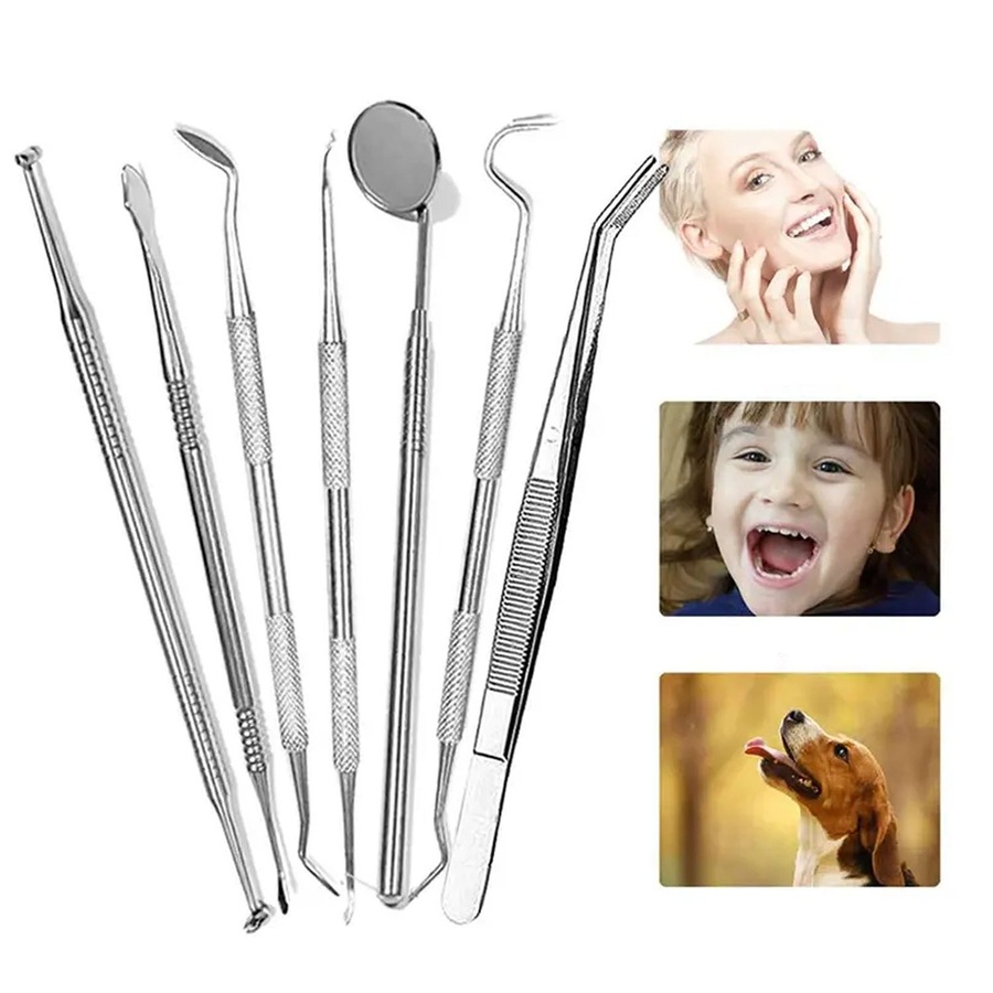Stainless Dental Tool Set Kit Dentist Teeth Clean Hygiene Oral - 7pcs