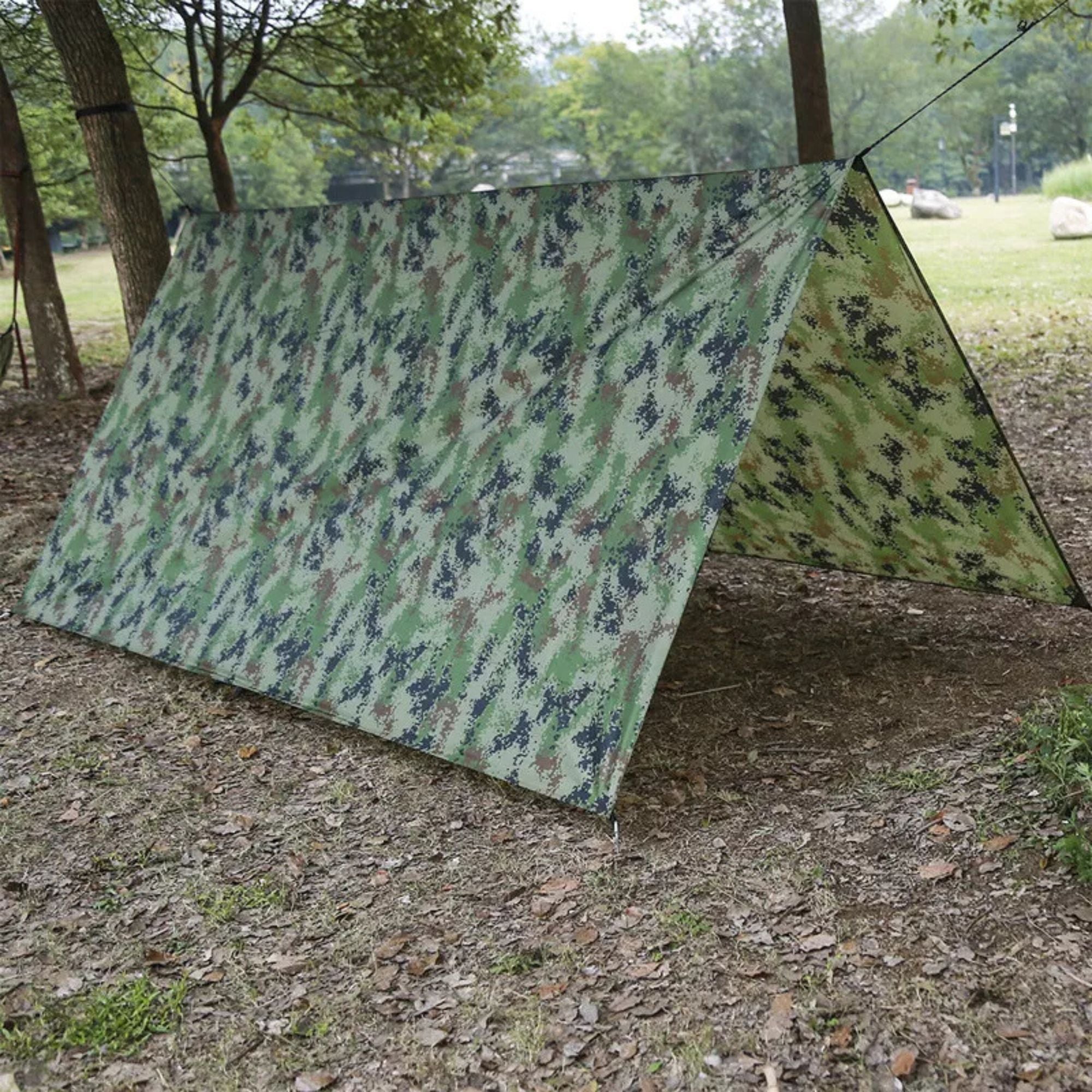 Image 6