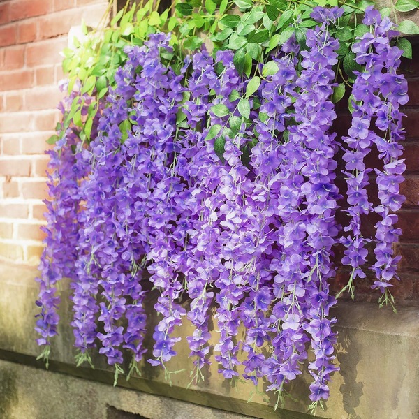 Image 13