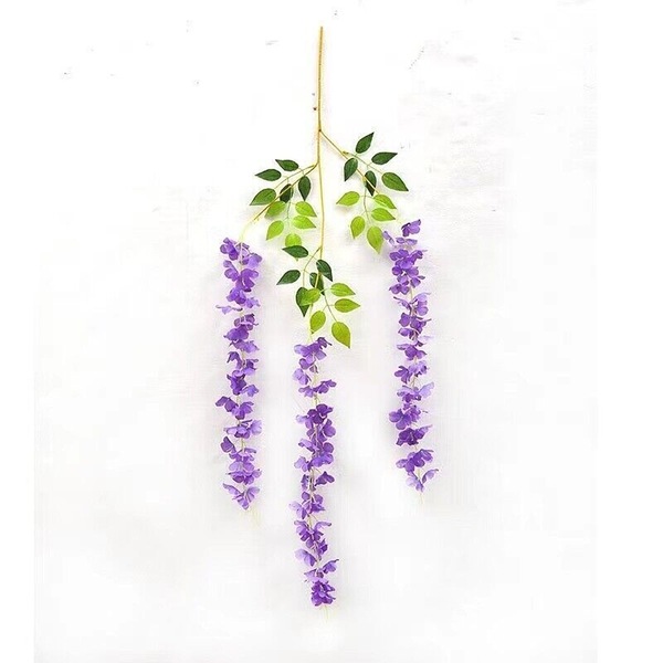 Image 20