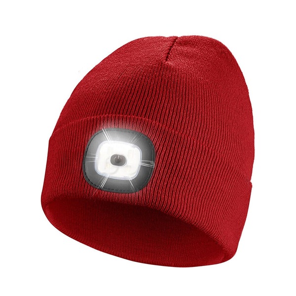 Image 4