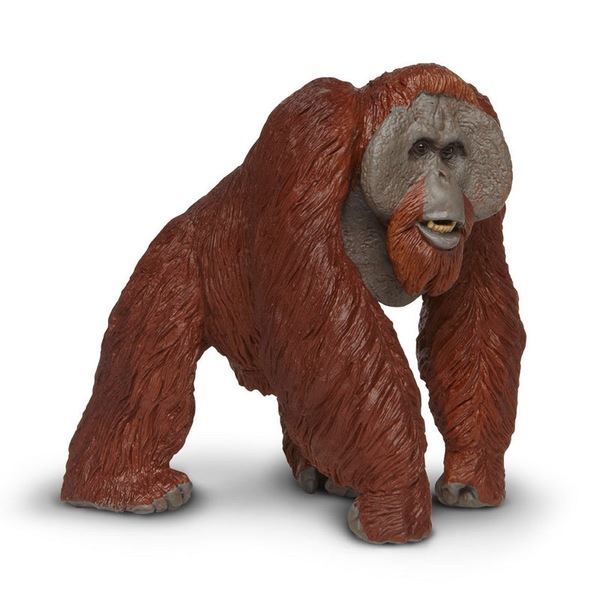 Image 9