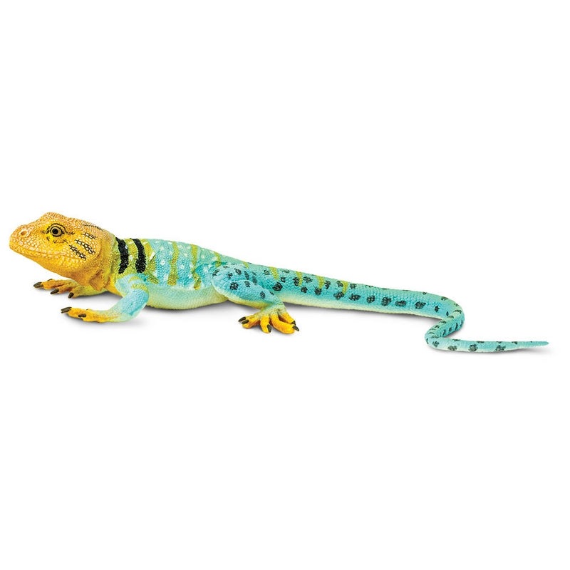 Buy Safari Ltd Collared Lizard Incredible Creatures MyDeal