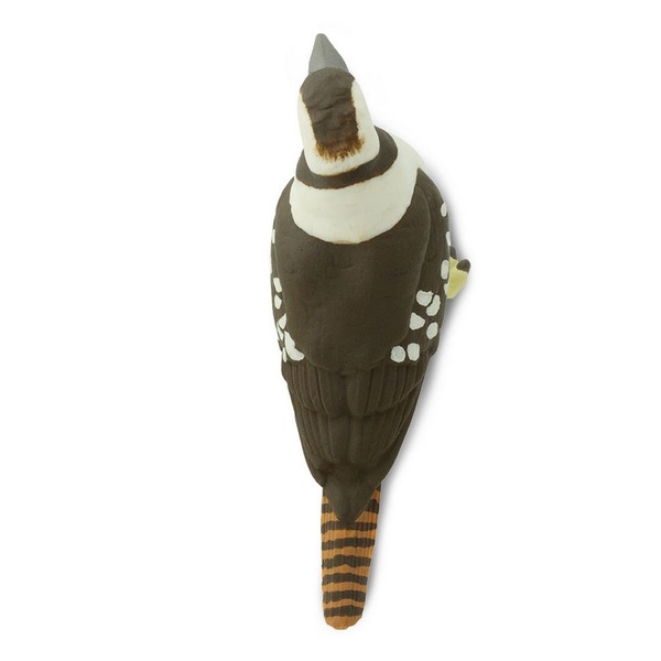 Image 4