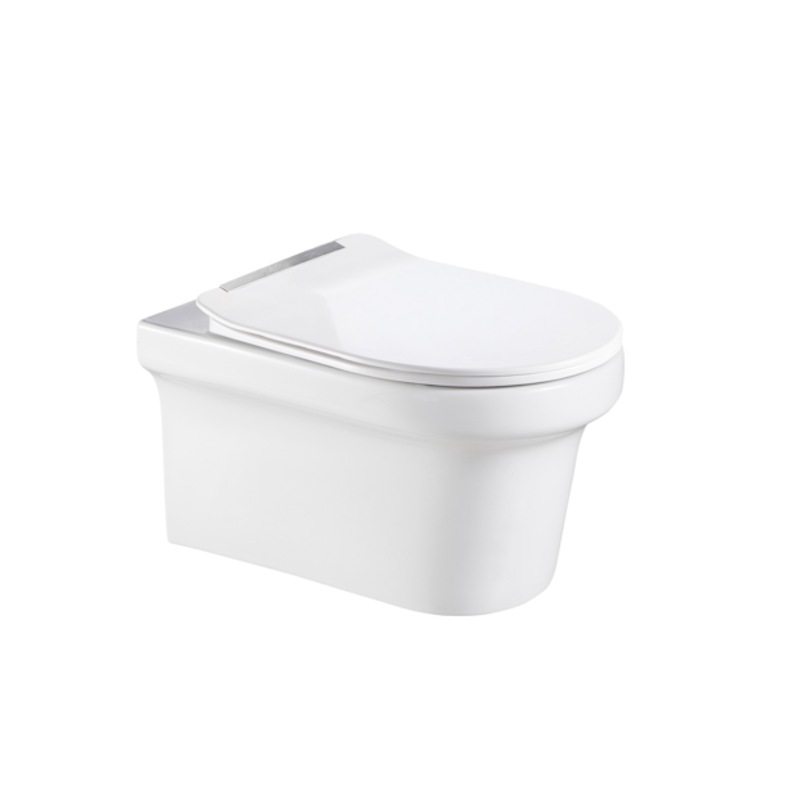 Buy PRATO Inwall Rimless Toilet Wall Hung Pan White MyDeal