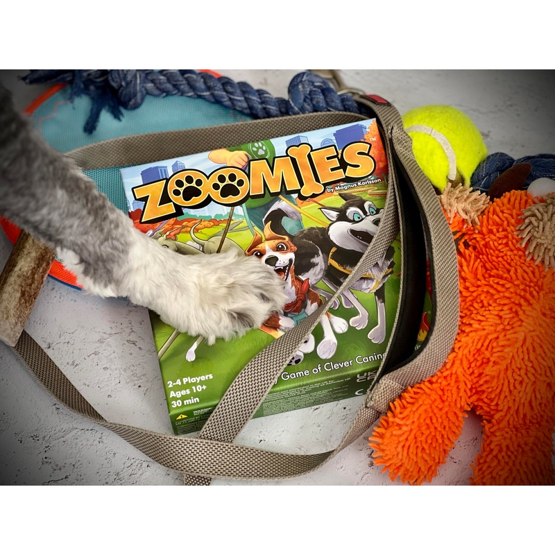 Fireside Games Zoomies – Fast-Paced Dog Walking Family Card Board Game Fun for All Ages Quick Play 2 to 4 Players Ages 10+