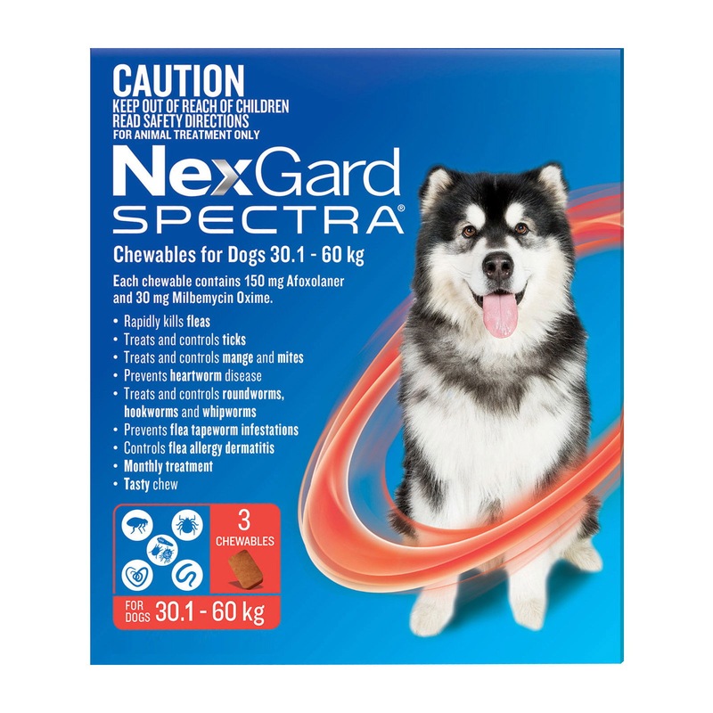 Buy Nexgard Spectra Dogs Chewables Fleas, Ticks, Mites, Heartworm & Worm Treatment MyDeal