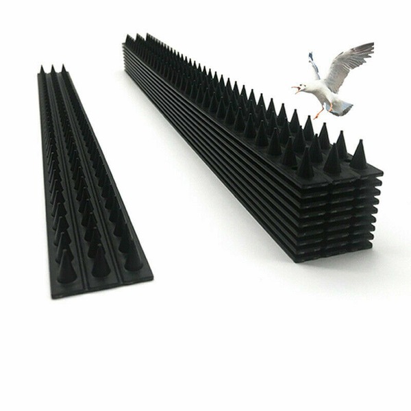 Image 11