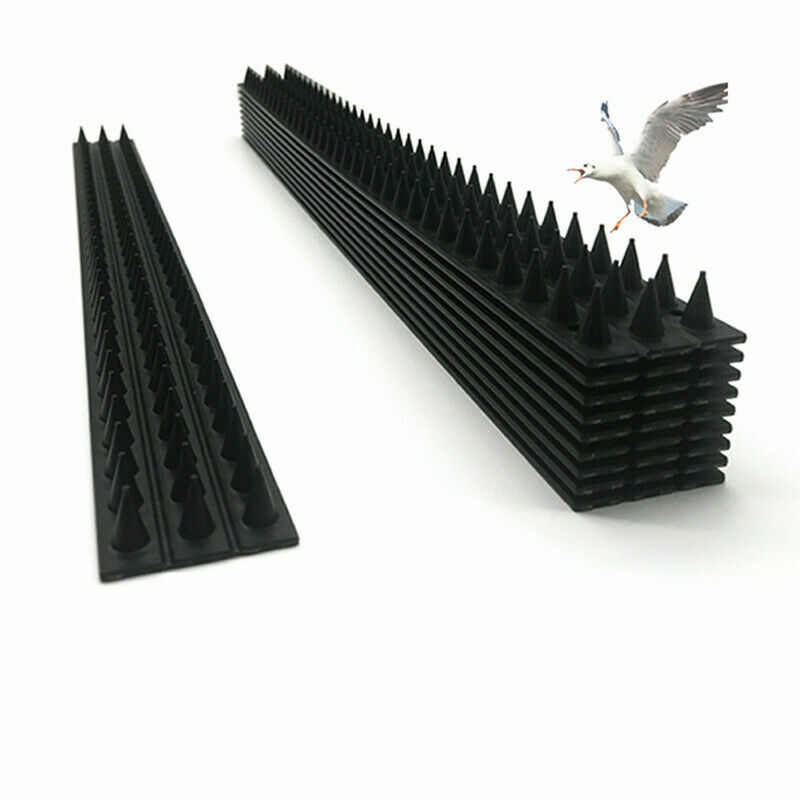 Image 11