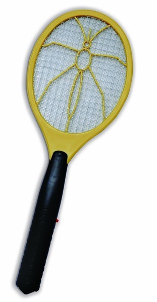 Image 4