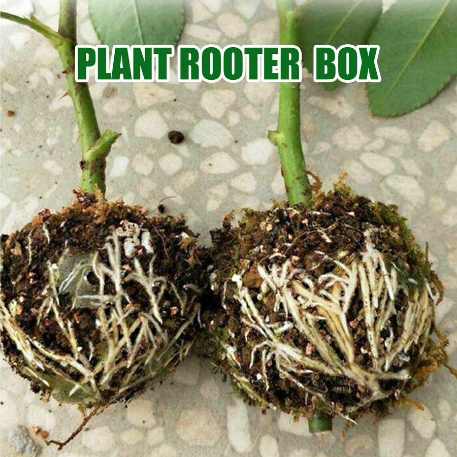 Buy 5x Plant Rooting Device High Pressure Root Grow Grafting Box ...