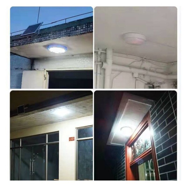 Image 12