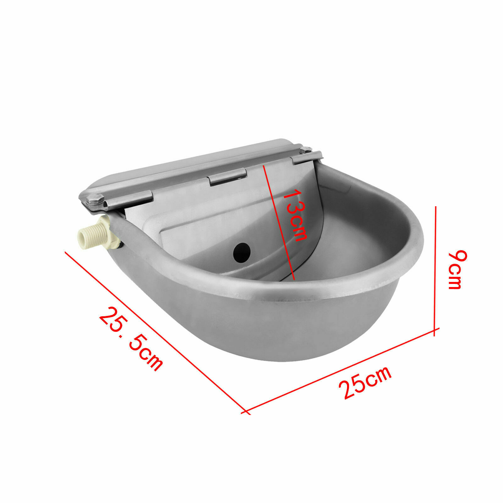 Image 2