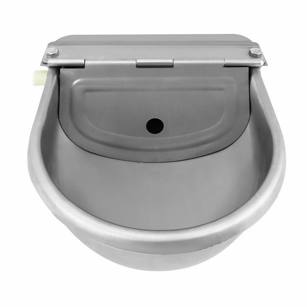Image 6