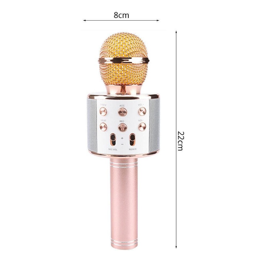 Wireless Microphone Speaker Bluetooth KTV Karaoke gold