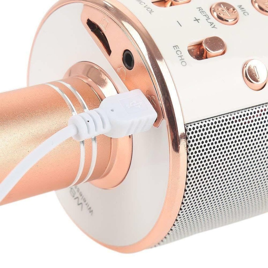 Wireless Microphone Speaker Bluetooth KTV Karaoke gold