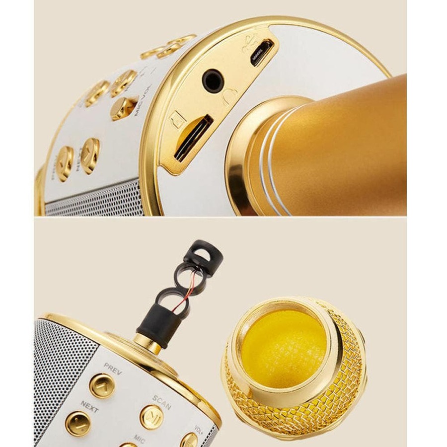 Wireless Microphone Speaker Bluetooth KTV Karaoke gold