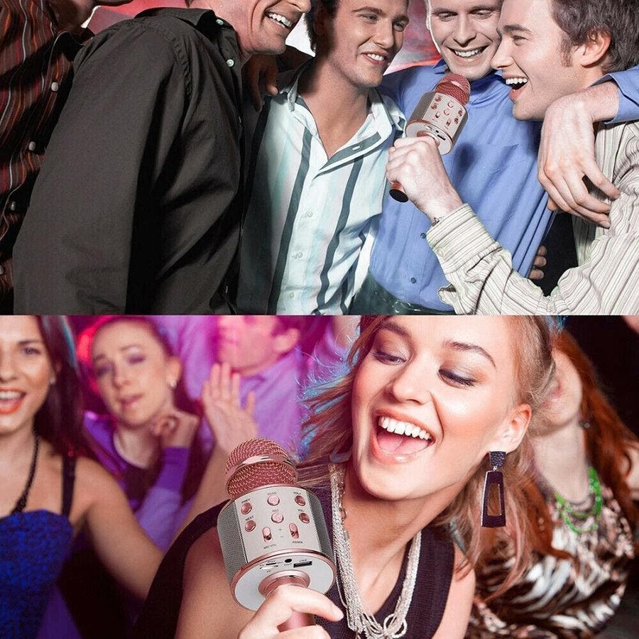 Wireless Microphone Speaker Bluetooth KTV Karaoke gold