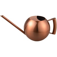 1.3L Watering Can Indoor of Stainless Steel with Long Spout (Rose Gold)