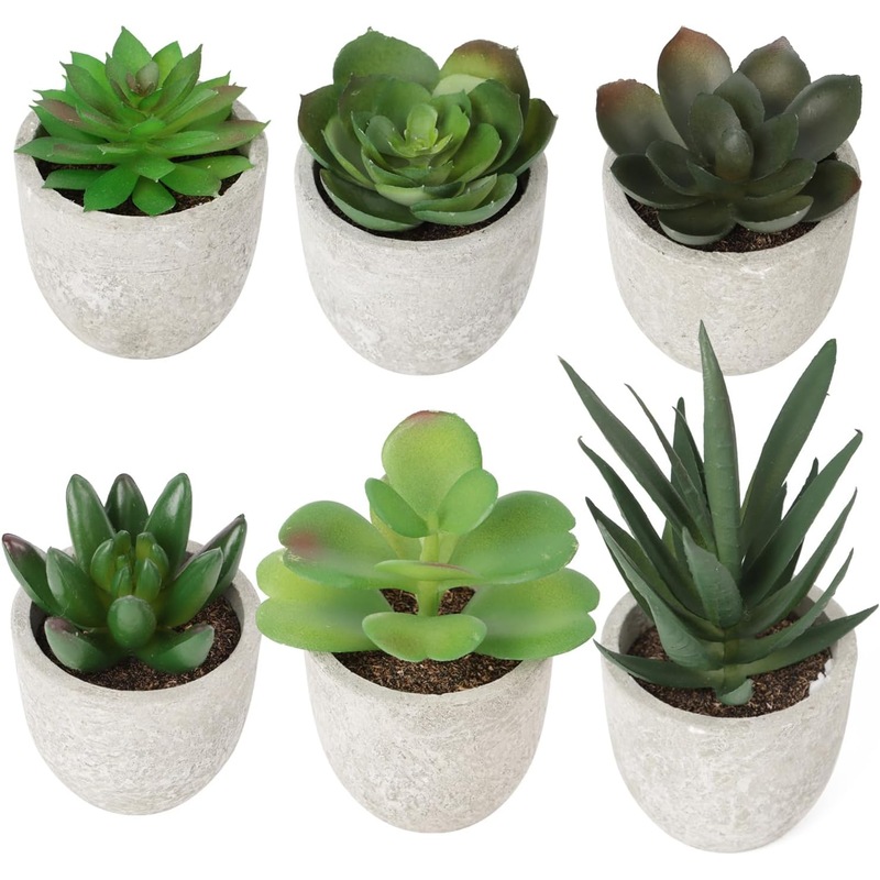 Buy Artificial Succulent Plants Set 6 MyDeal