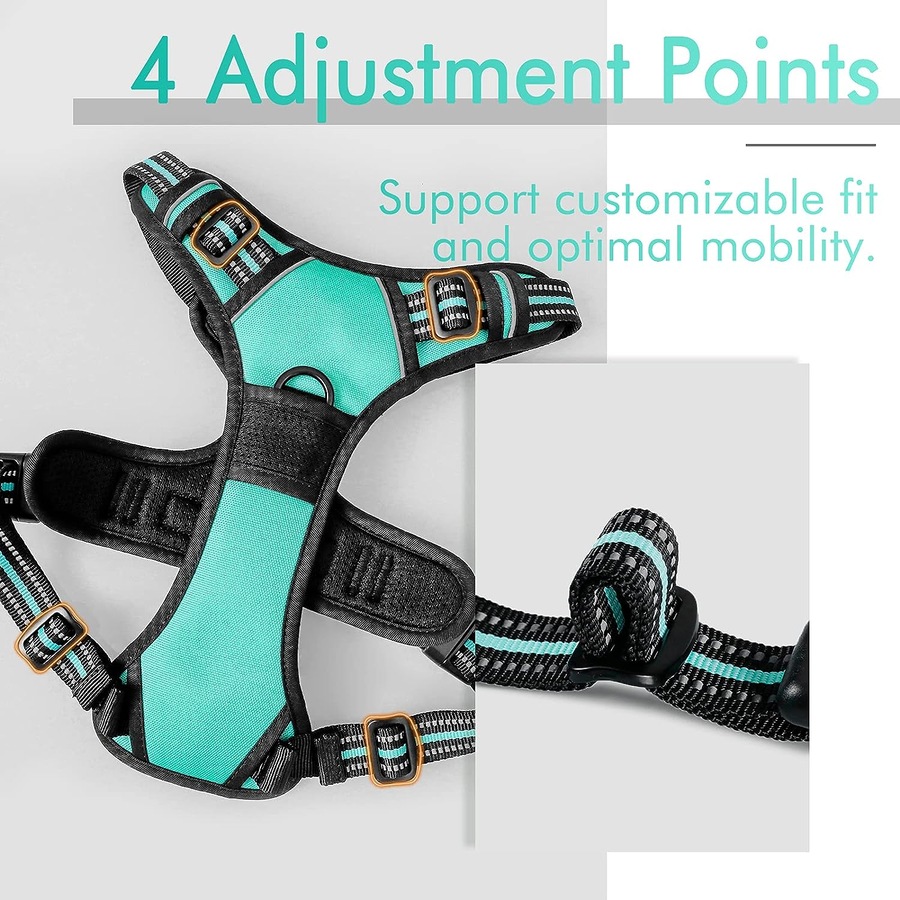 Dog Harness No Pull Pet Harness Small Dogs