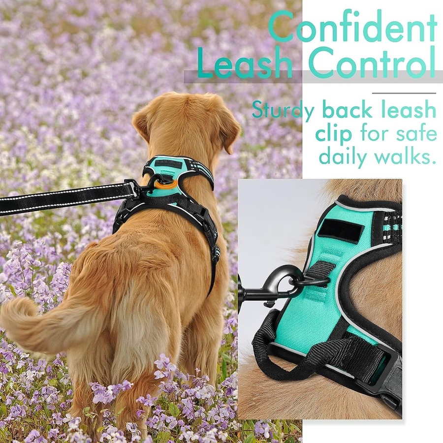 Dog Harness No Pull Pet Harness Small Dogs