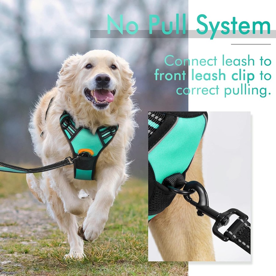 Dog Harness No Pull Pet Harness Small Dogs