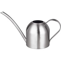 Stainless Steel Watering Can, (450ml)