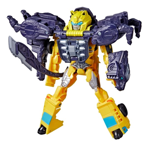 Image 3