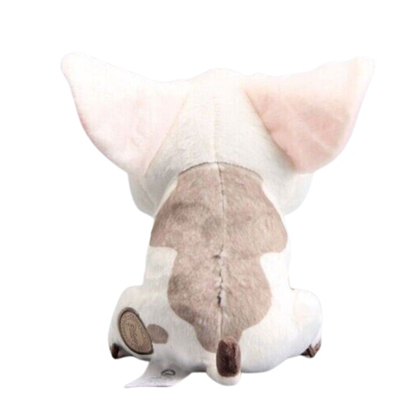 Image 7