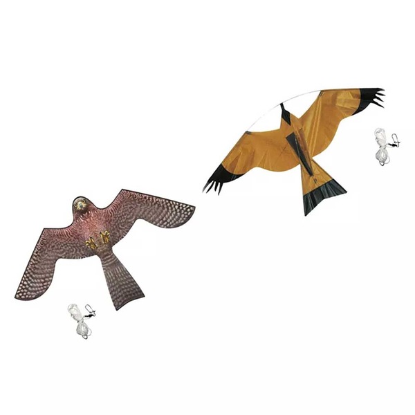 Image 15