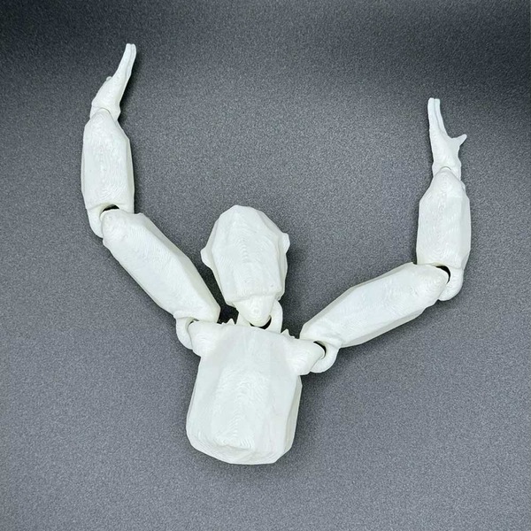 Image 7