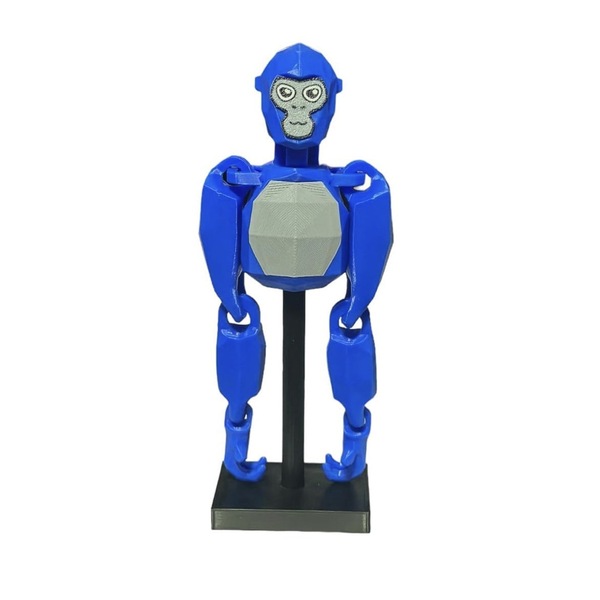Image 20