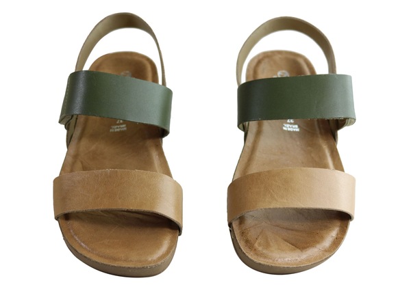 Image 7