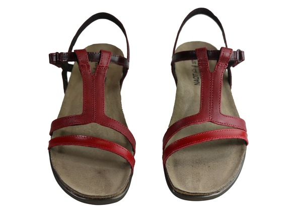 Image 7