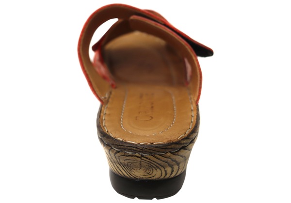 Image 7
