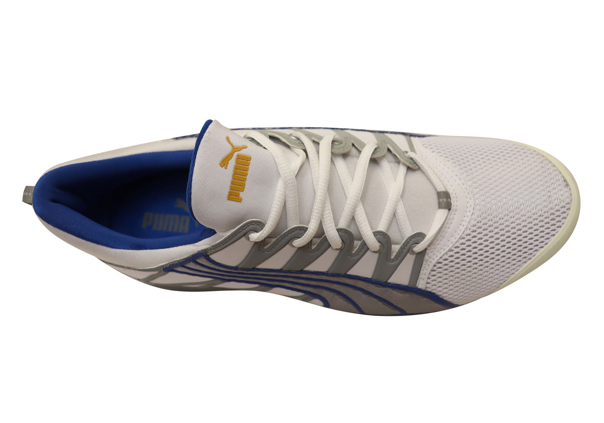 Puma on sale voltaic 2