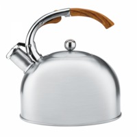 Raco Stovetop Kettle