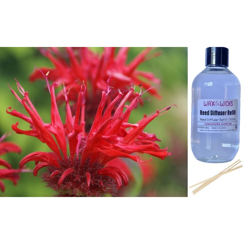 Buy Bergamot & Banksia Reed Diffuser Refill MyDeal