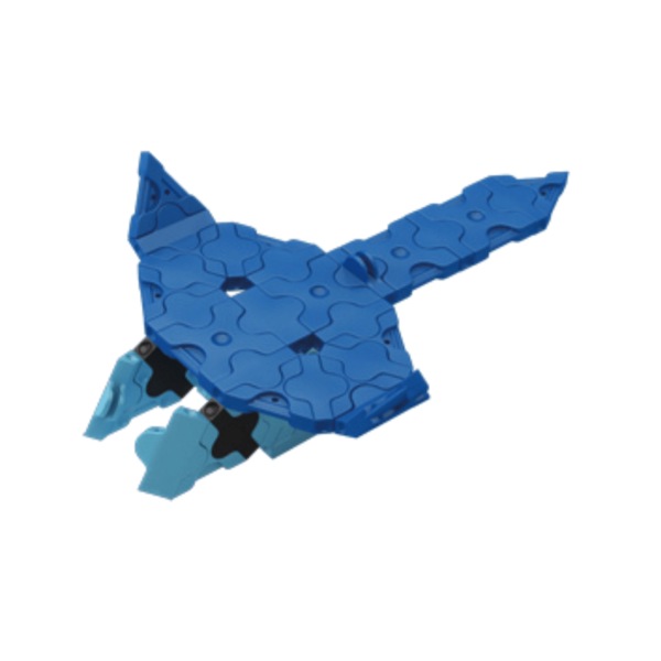 Image 5