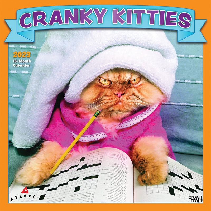Buy 2023 Calendar Avanti Cranky Kitties 16Month Square Wall