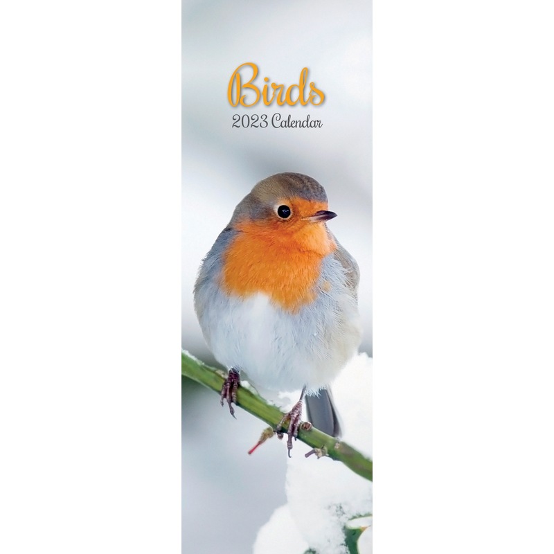 Buy 2023 Calendar Birds Slim Wall by The Gifted Stationery GSC22261