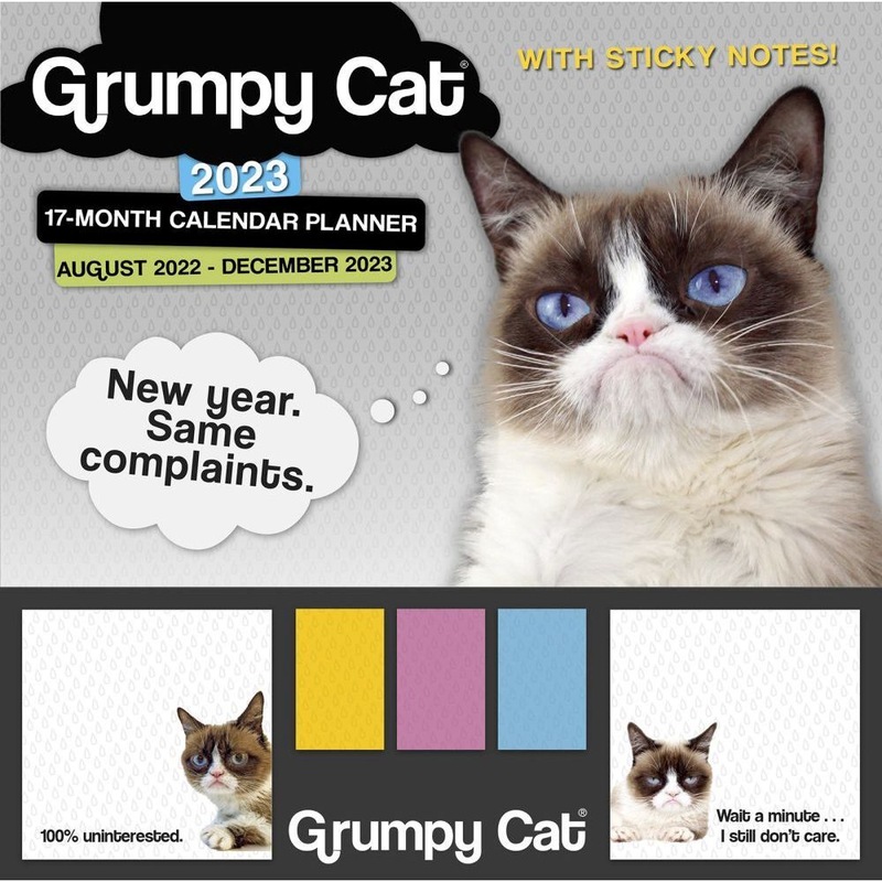 Buy 2023 Calendar Grumpy Cat 17Month Sticky Note Square Wall, Sellers