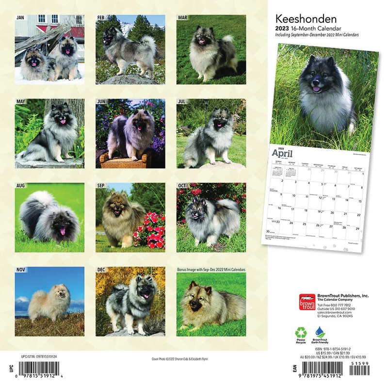 Buy 2023 Calendar Keeshonden 16Month Square Wall, Browntrout MyDeal