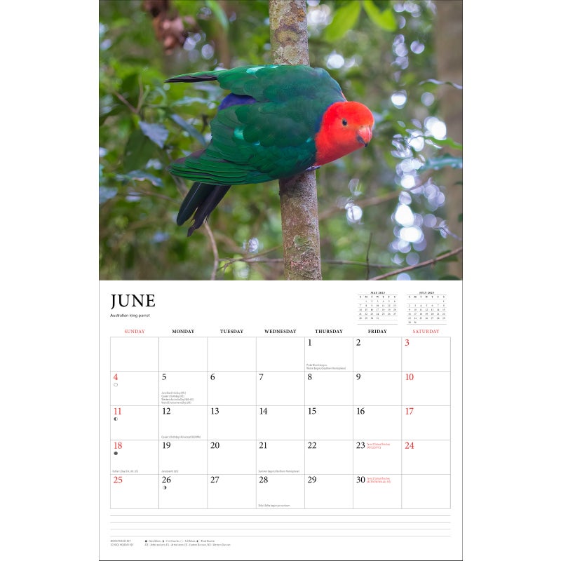 Buy 2023 Calendar Steve Parish Australian Birds Horizontal Wall Browntrout Mydeal