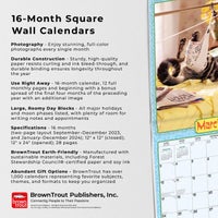 Buy 2024 Calendar Avanti Cranky Kitties 16-Month Square Wall Browntrout